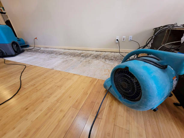 Professional Flood Damage Cleanup technician working in Owendale, MI